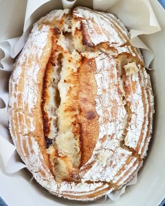 img_20170125_203938_837